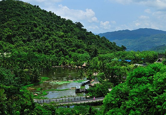 Китай посадив так багато дерев, що це поступово міняє клімат